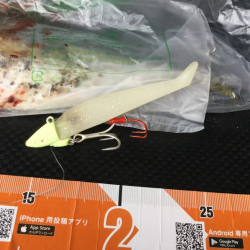 ワインドに鯖がHIT